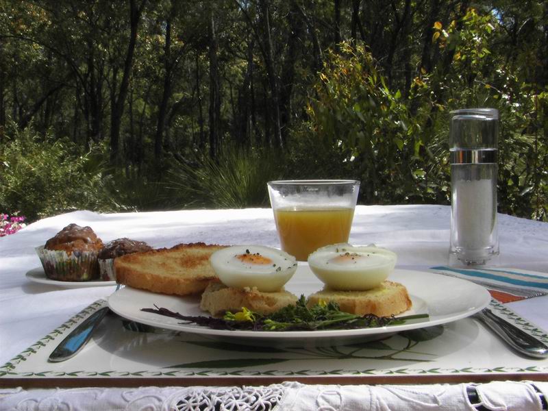 Breakfast